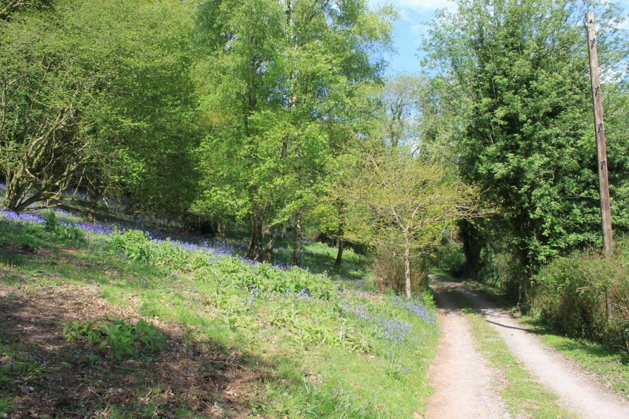 Church Hill Farm Monmouth Ngoại thất bức ảnh